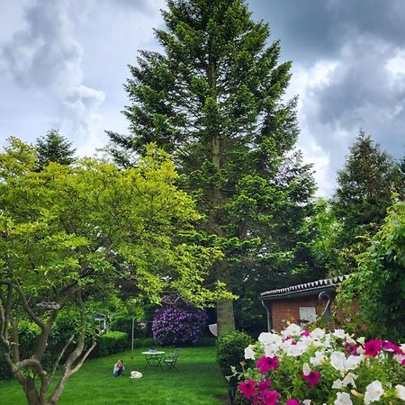 Westkueste Ferienwohnung Heide  Luaran gambar