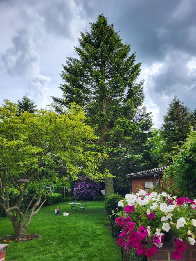 Westkueste Ferienwohnung Heide  Luaran gambar